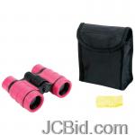 JCBid.com online auction Compact-pink-4x30-binoculars